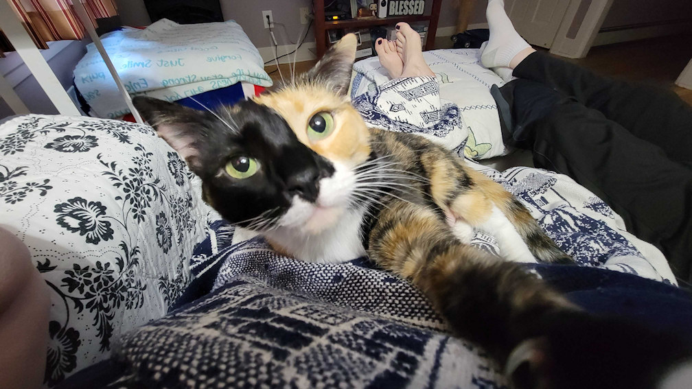 Katniss glad that we are home.